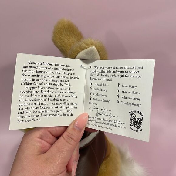 Troll Book Fairs Grumpy Bunny Plush Toy Hopper the Pilot NWT Excellent Condition - Picture 8 of 9